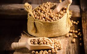 Debunking Myths About Soya Chaap: Separating Facts from Fiction
